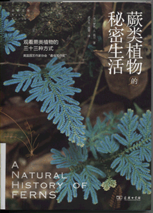 蕨類植物的秘密生活